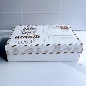 CAJA CORREO 27X17X6